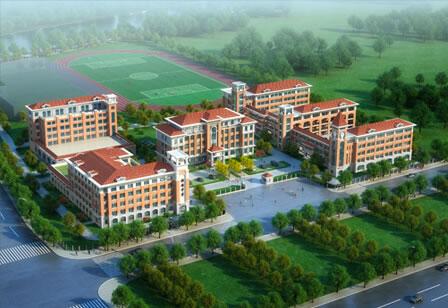 測試的案例信息，測試的案例信息